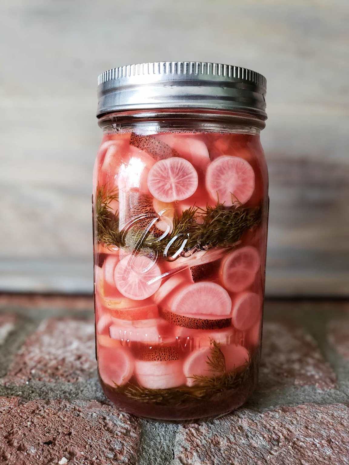 Fermentierte Radieschen mit Dill und Knoblauch im Glas – rosa Lake