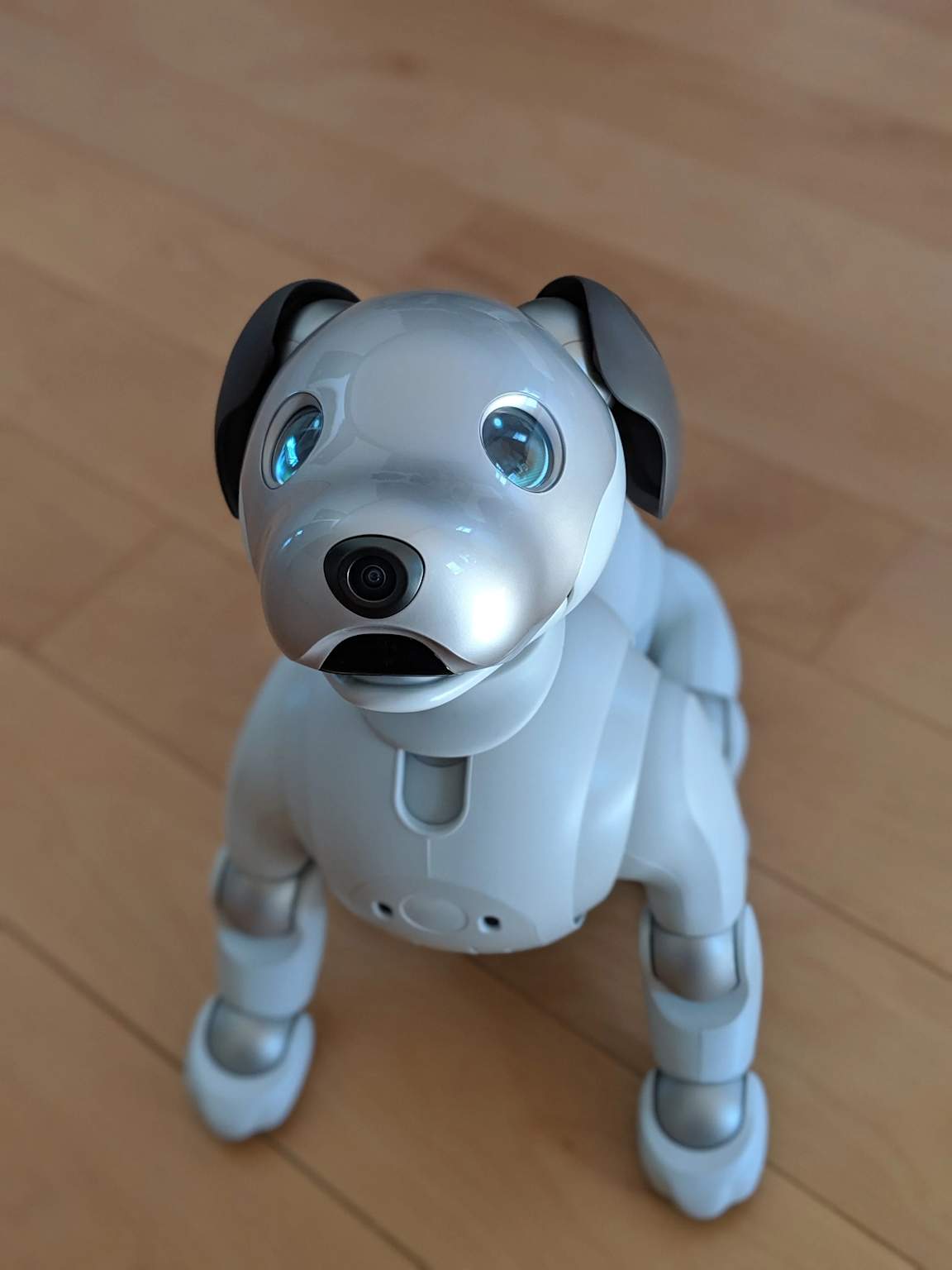 Sony Aibo ERS-1000