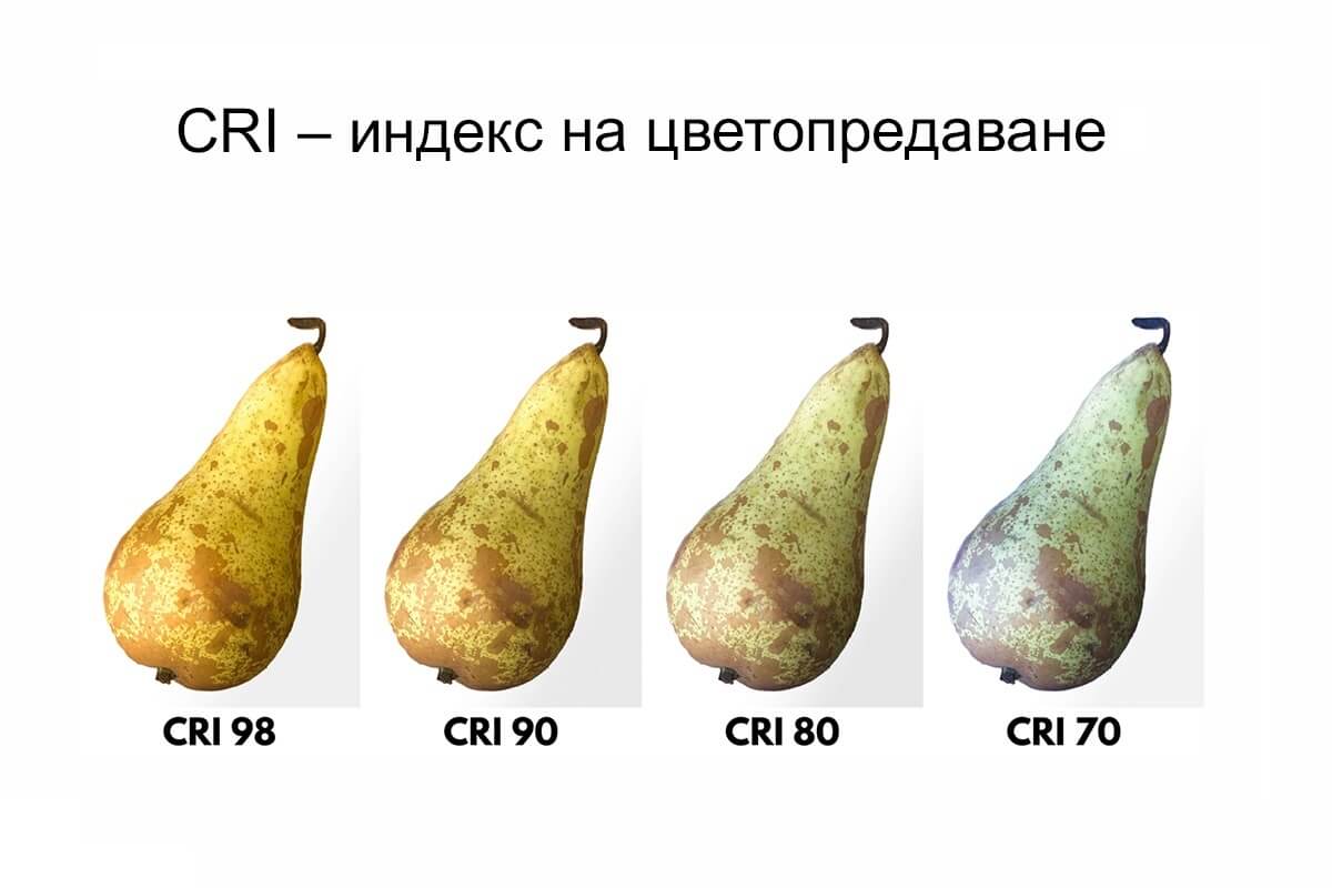 Comparing fruit under different Color Rendering Index (CRI) light bulbs