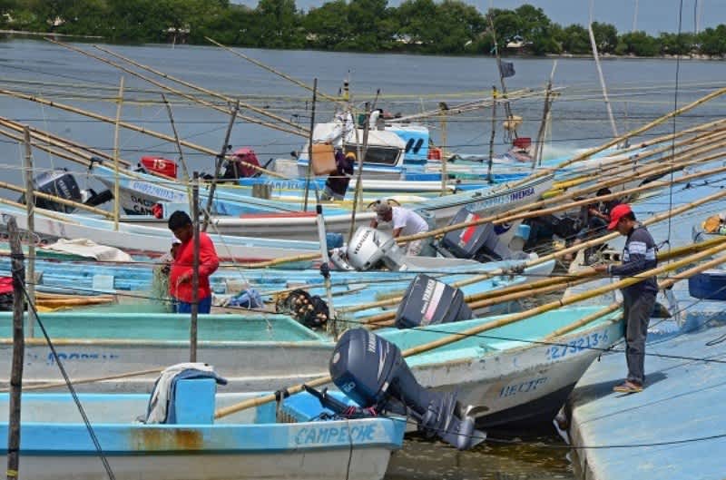 Embarcaciones pesqueras artesanales en el muelle de Yucatán