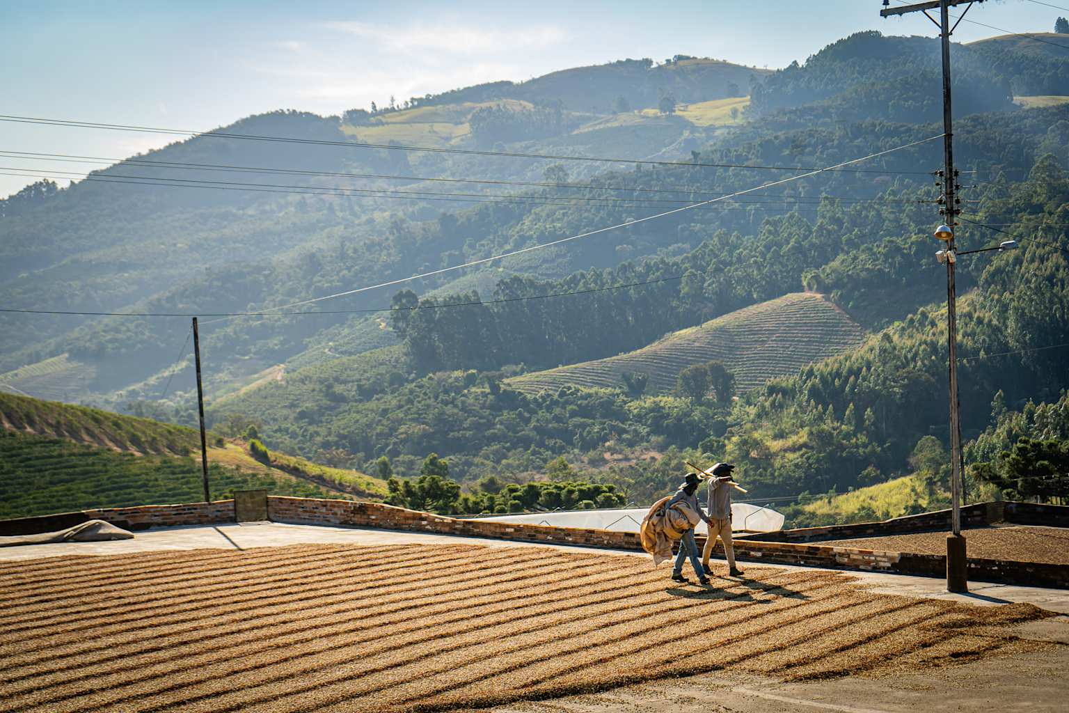 Trazabilidad hasta la finca de origen
