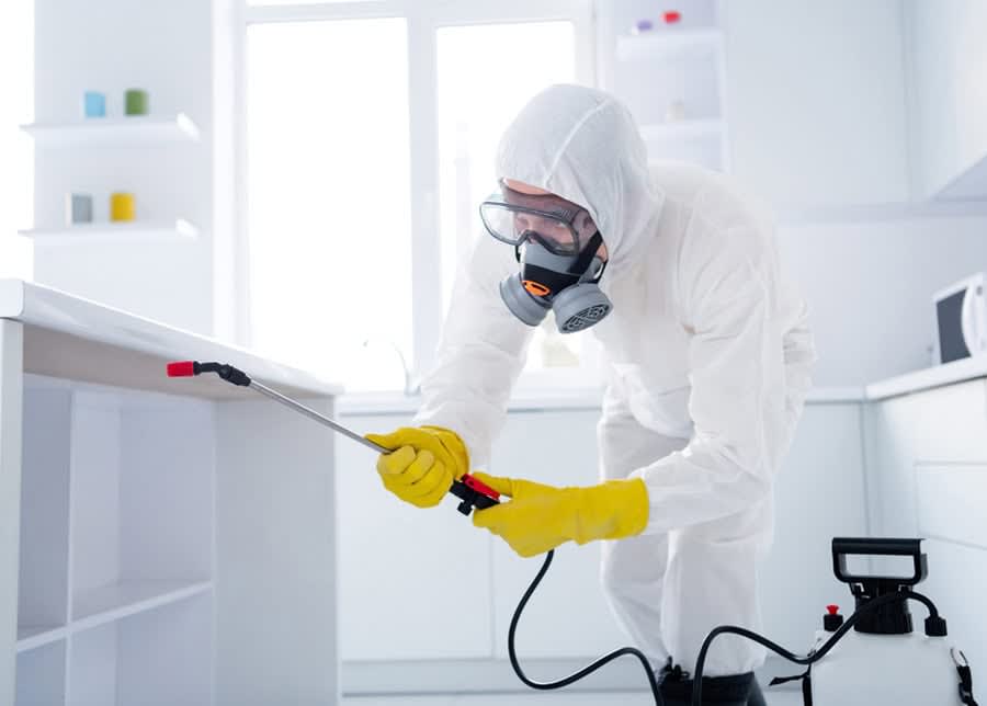 Pest control technician kitchen spray Toronto Nomore Pest