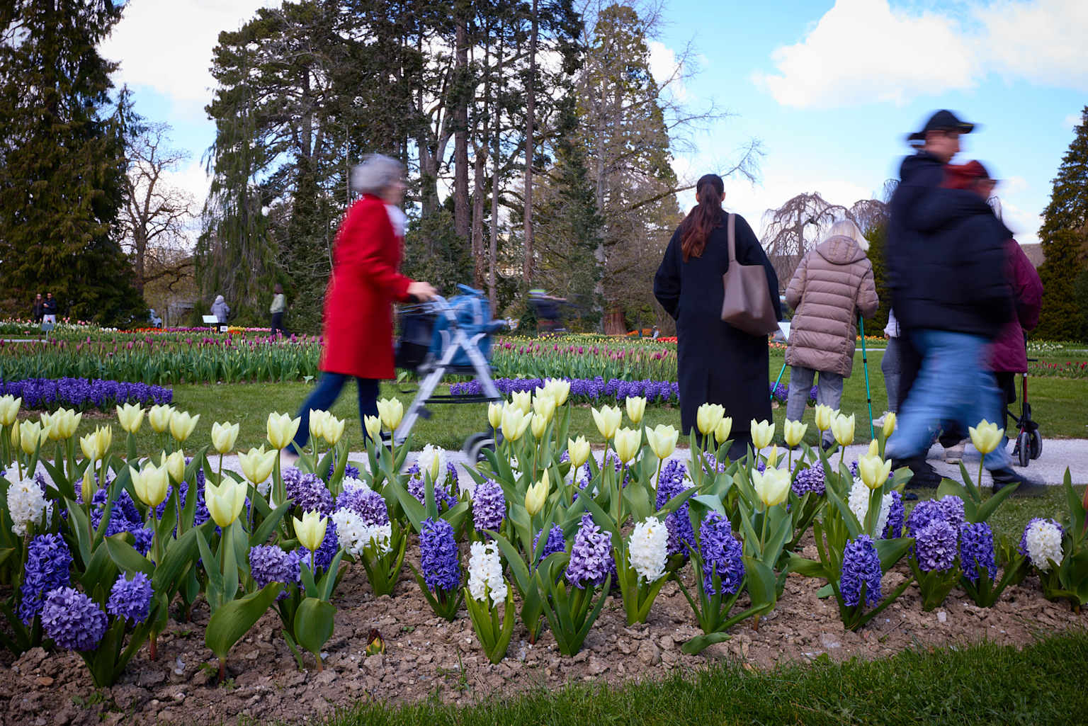 Real tulips Morges festival parc independance people