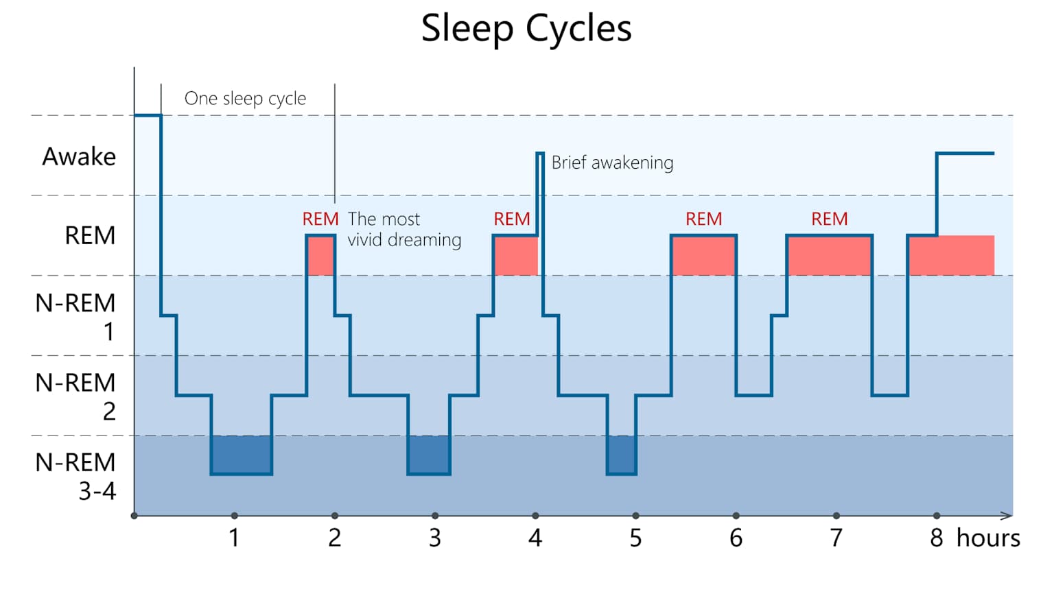 Sleep cycle chart showing sleep stages across 8 hours — staircase pattern descending through Awake, REM, N-REM 1, N-REM 2, and N-REM 3/4 stages across 5 complete cycles