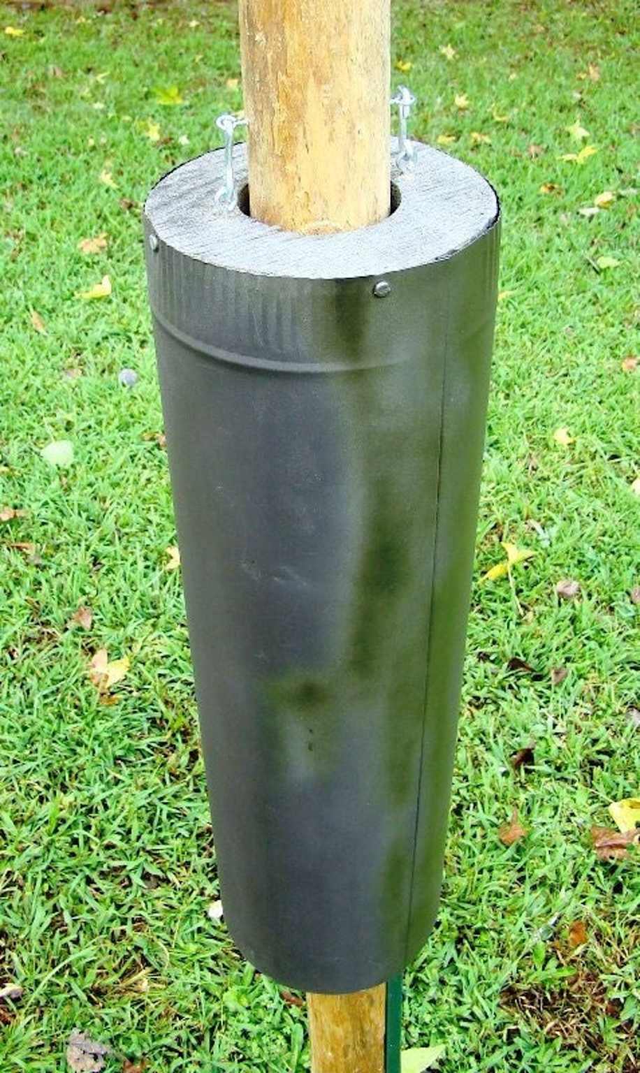 Cylindrical metal stovepipe baffle on a smooth pole in a grassy yard — the most effective predator guard for nest boxes