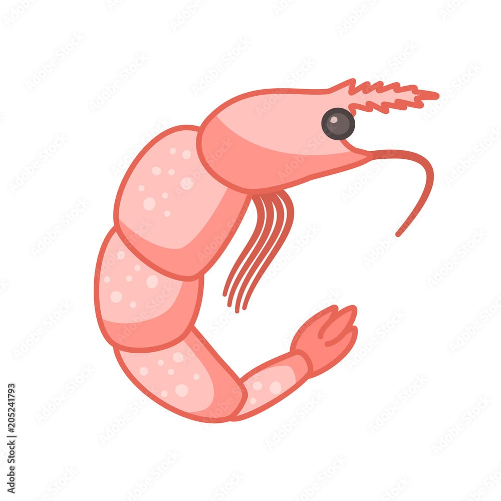 Seafood