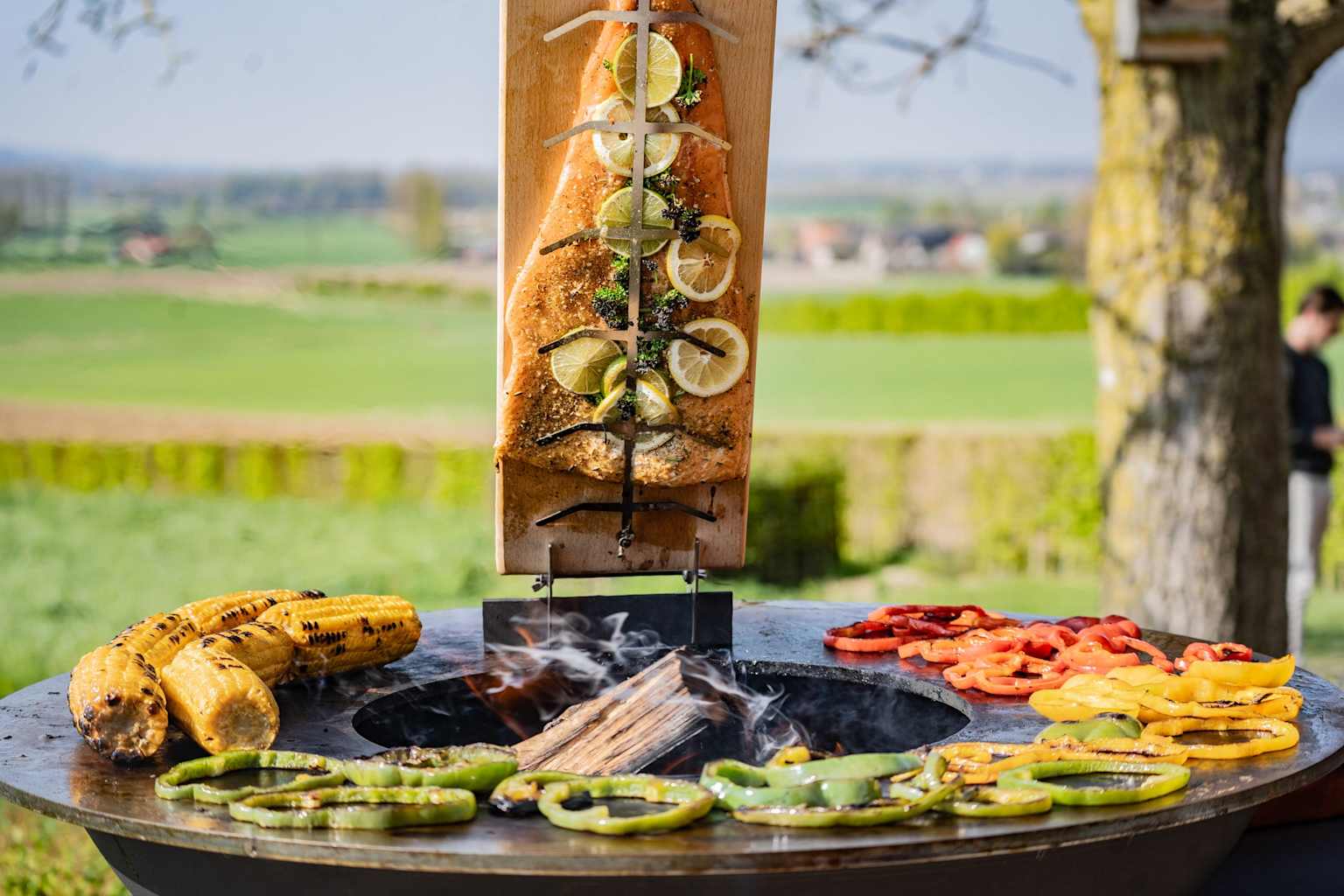 Koken op Tiger Fire plancha barbecue