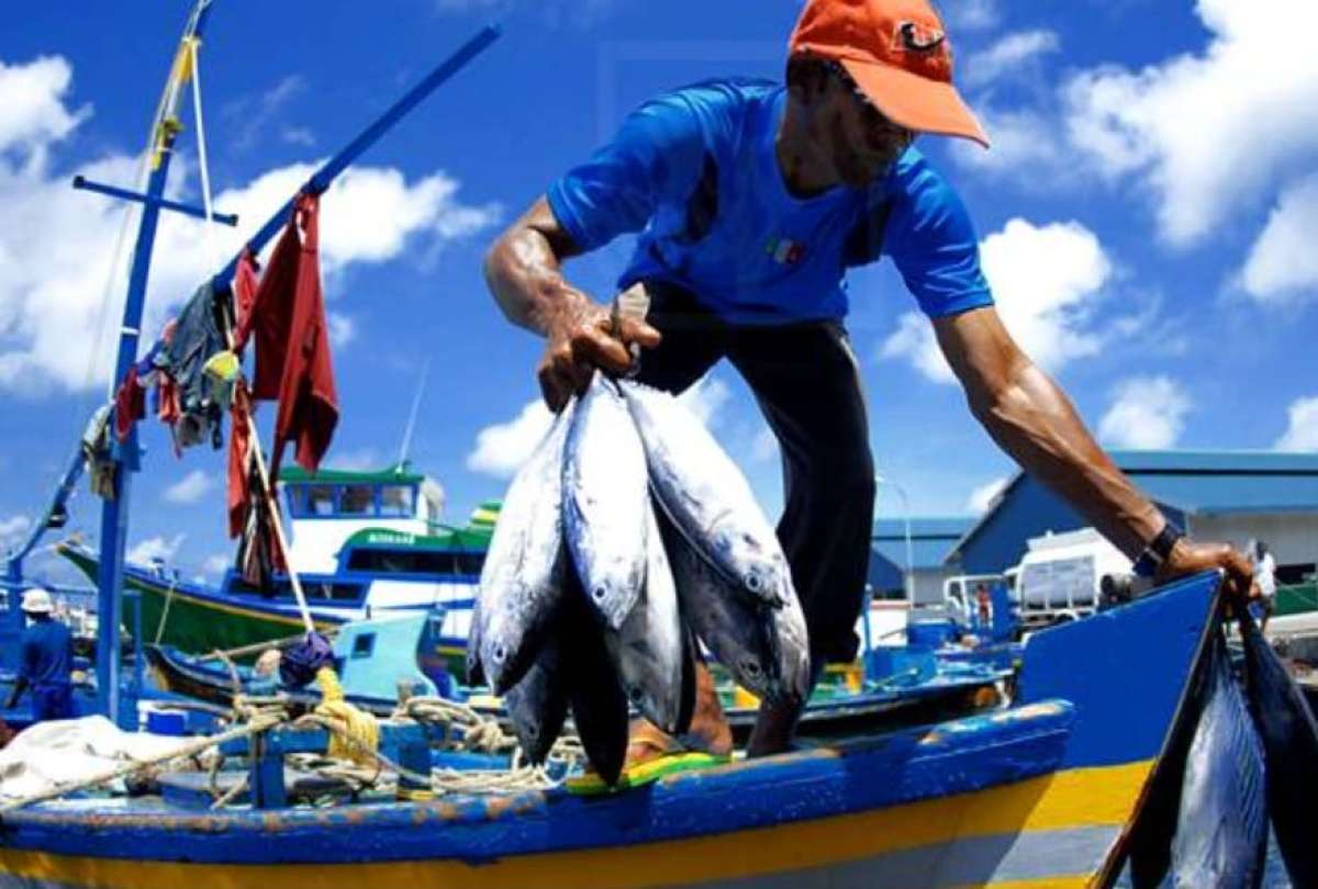 Pescador artesanal ecuatoriano con su pesca del día