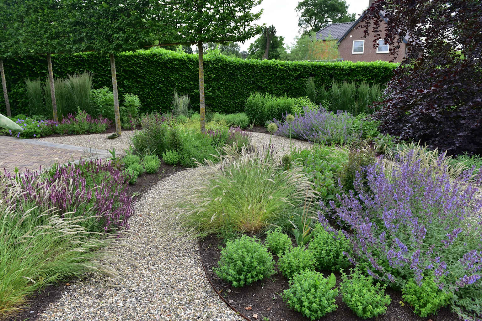 Création jardin