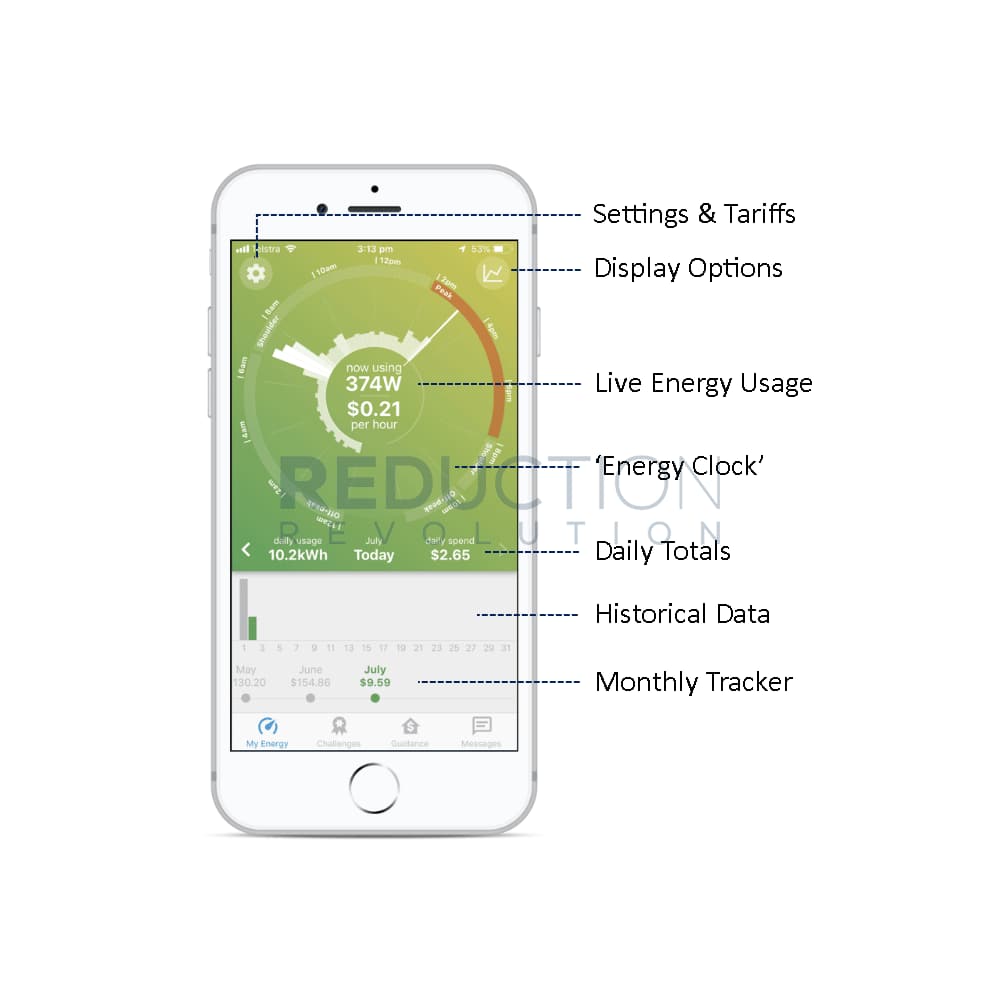 A smartphone app displaying real-time home energy consumption data