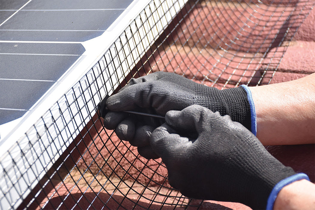 Bird proofing mesh under solar panels