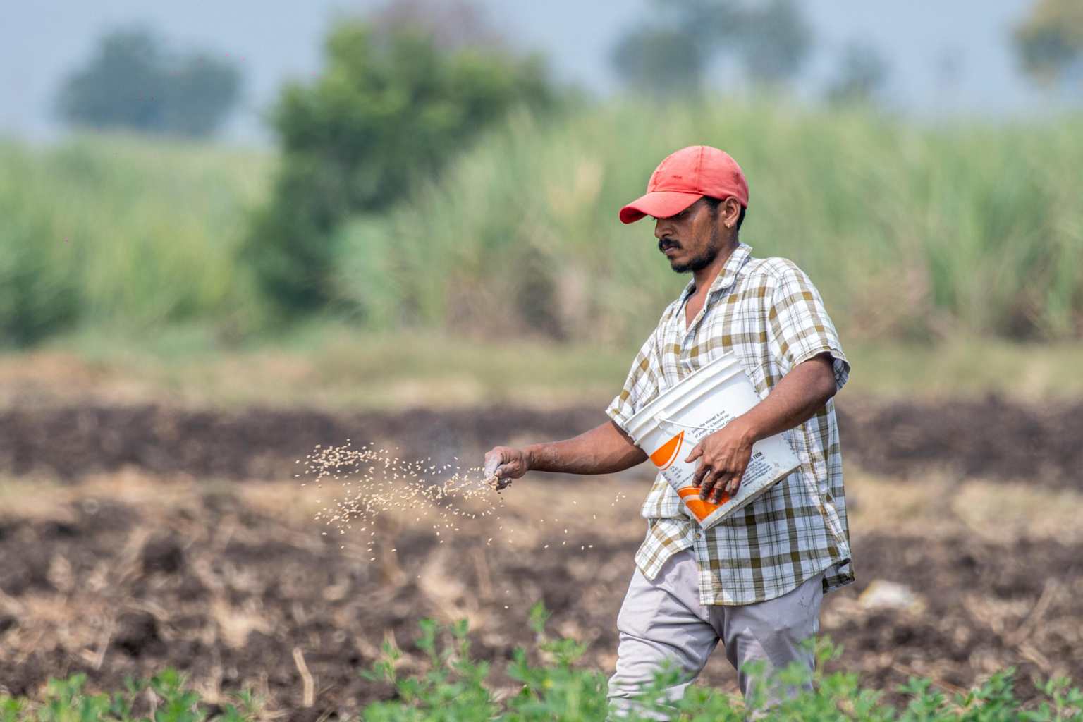 Agricultural Law