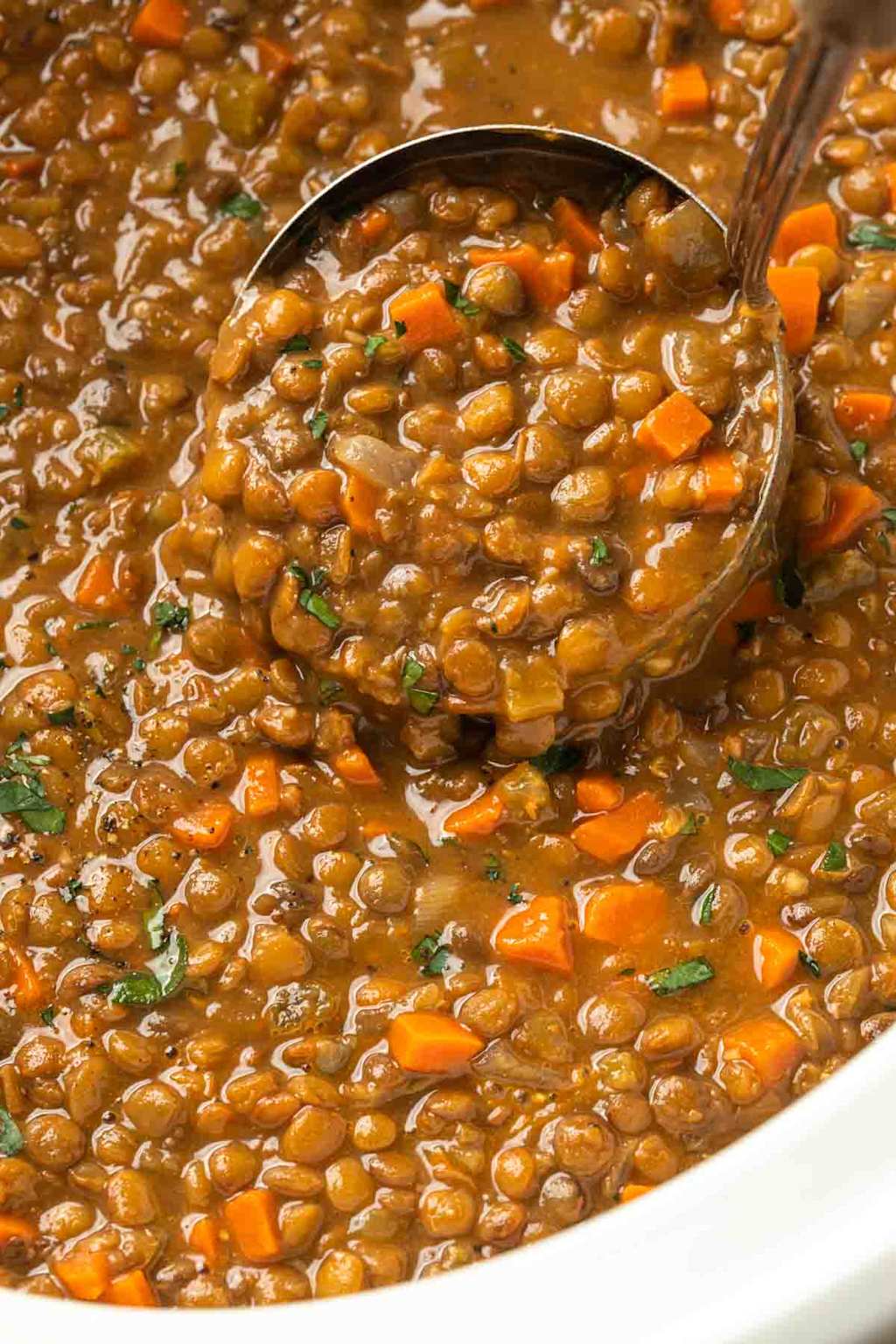 Slow cooker lentil soup