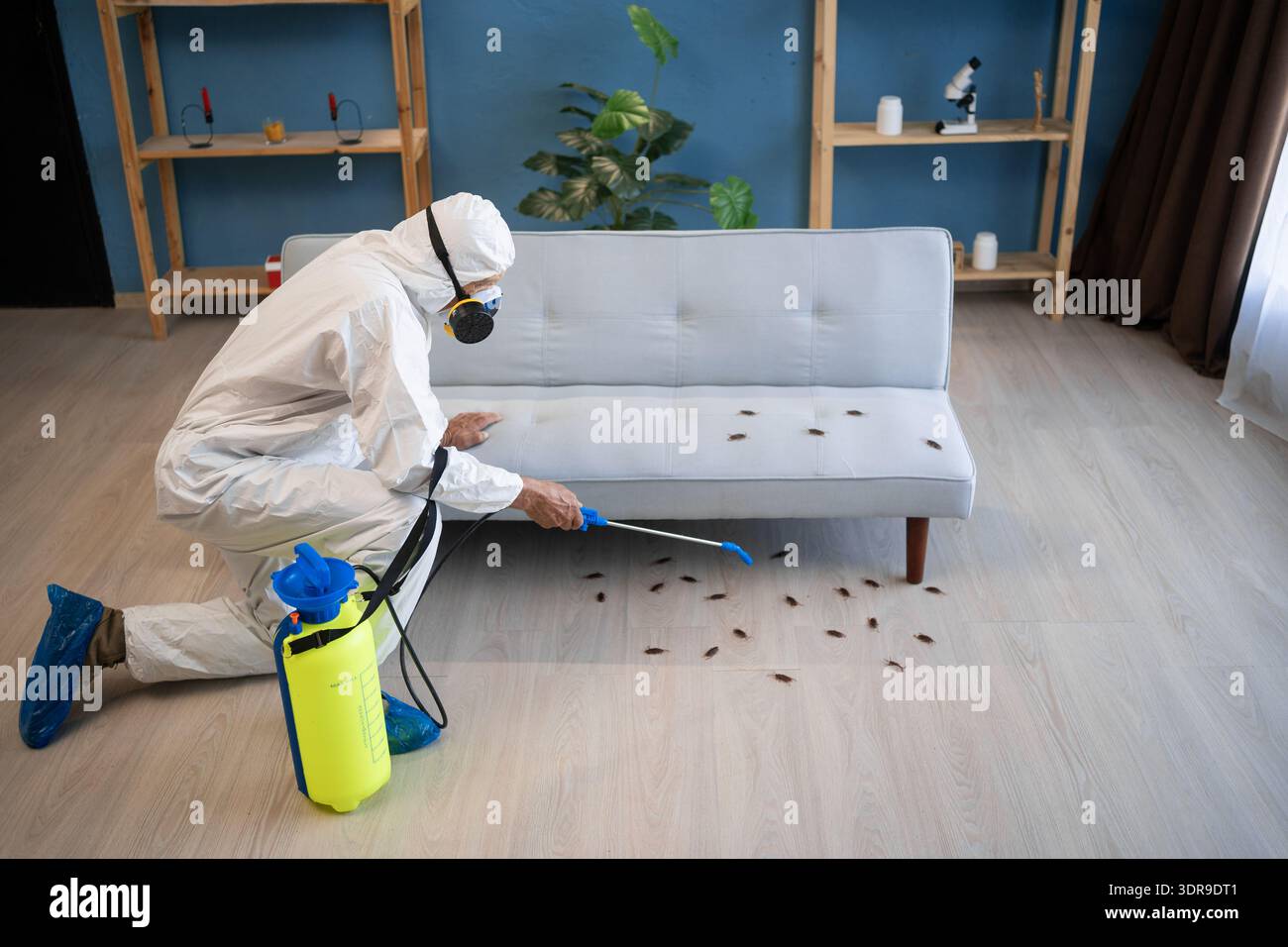 Exterminator spraying under sofa cockroaches Toronto Nomore Pest