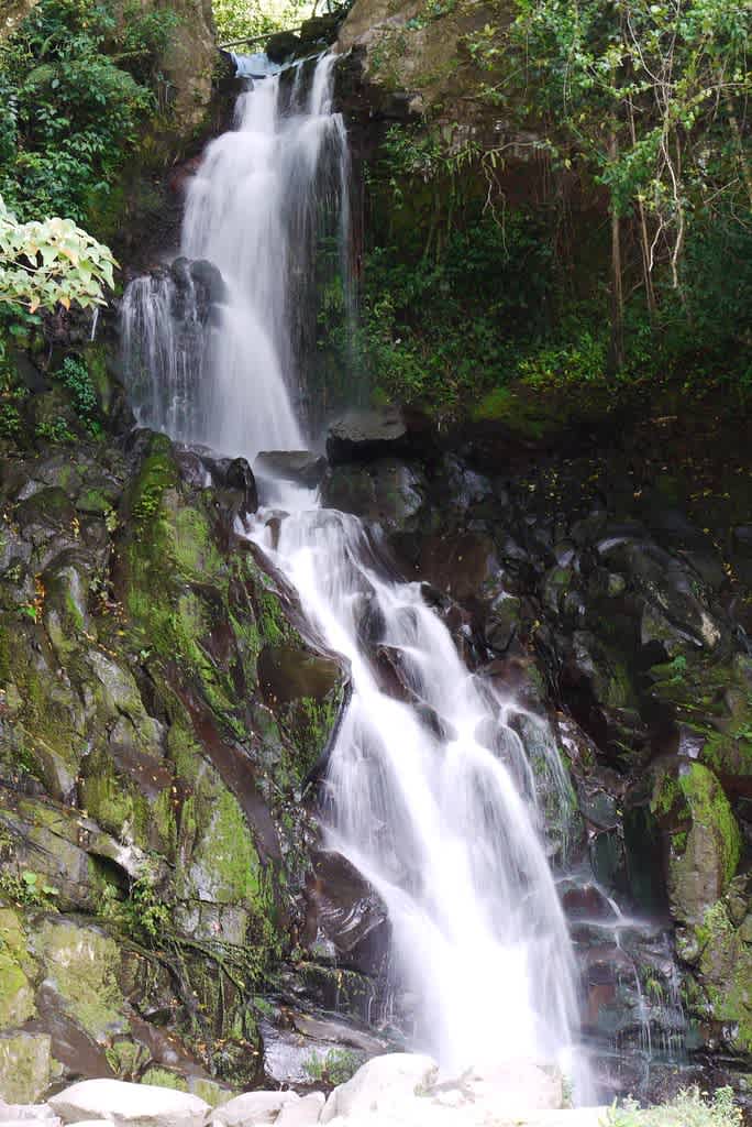 Lost Waterfalls Boquete Panama waterfall cascade