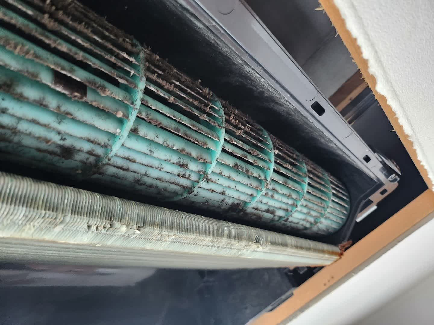 에어컨 내부 곰팡이와 먼지