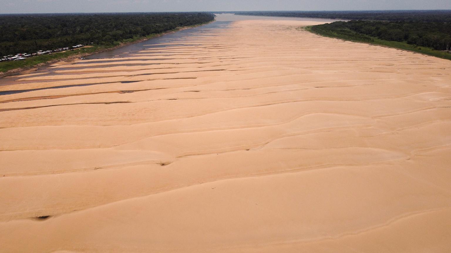 Amazon Drought