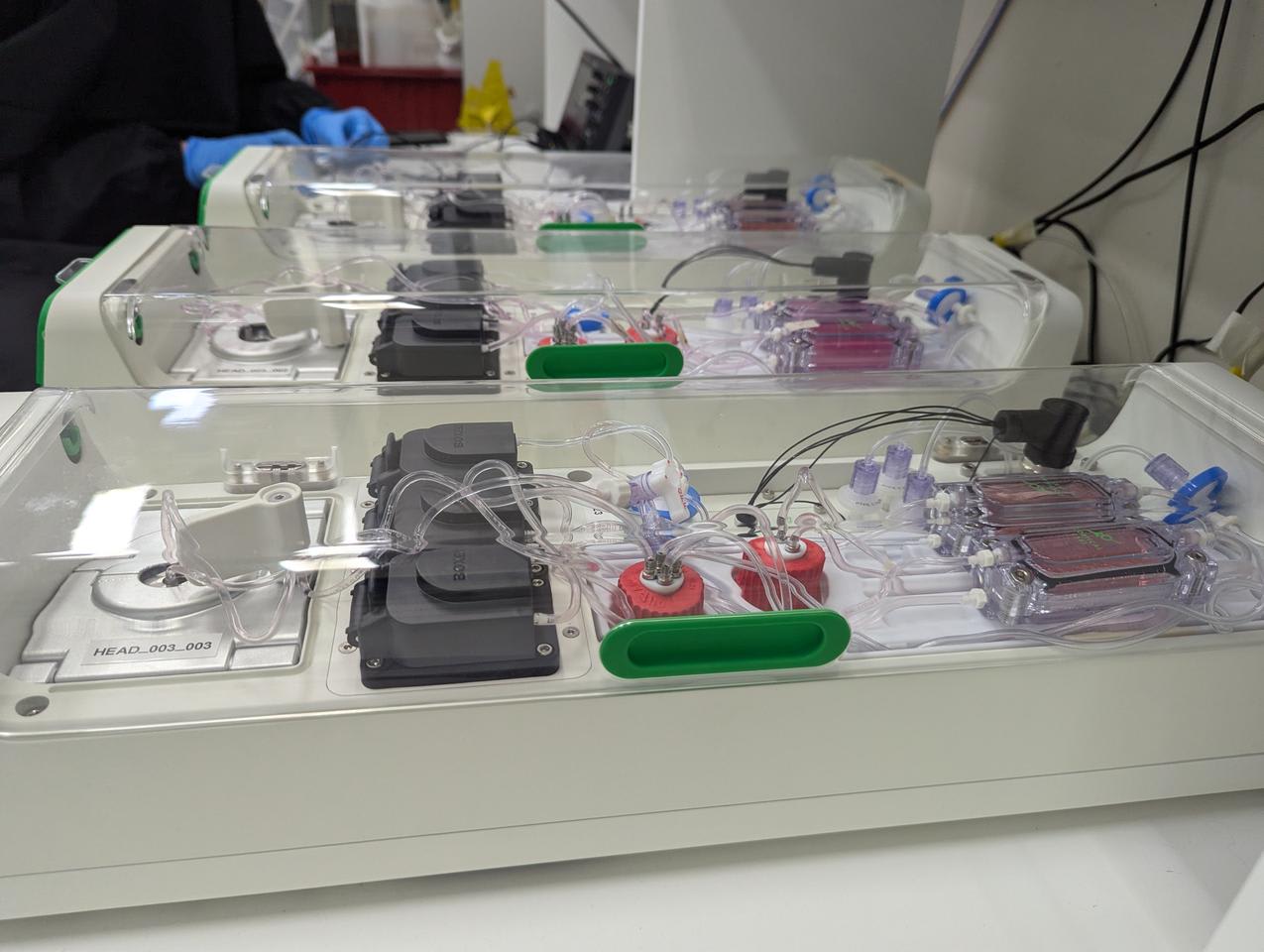 World's first "Synthetic Biological Intelligence" runs on ...