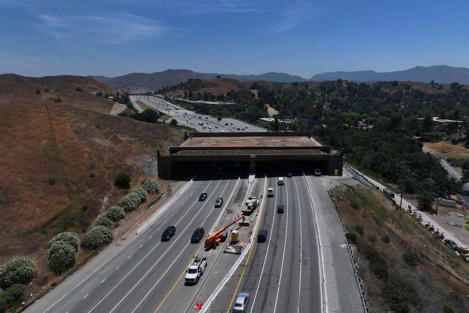 World's largest wildlife crossing bridge over 101 Freeway in Southern California