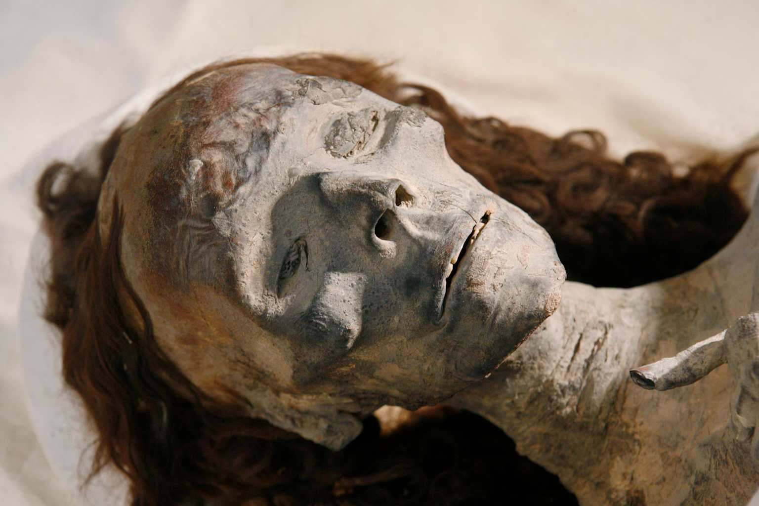King Tutankhamun Family Mummies On Display