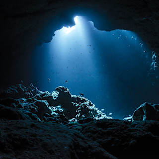 The Mystery of Deep Ocean Biotwang