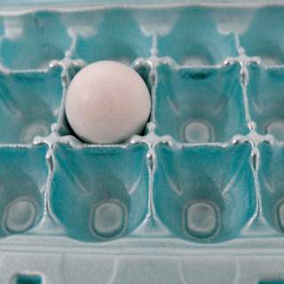 Bird Flu Data Disappears