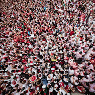 Crowds Form Swirling Vortex Patterns