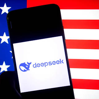 US Likely to Ban DeepSeek From Government Devices