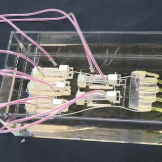Robot Hand Built from Human Muscles