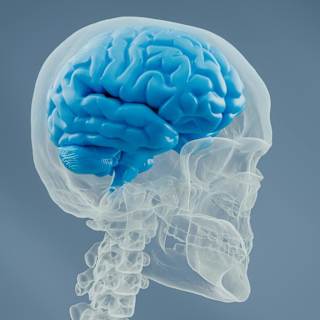 Brain-Spinal Implant Helps Paralyzed Patients Walk