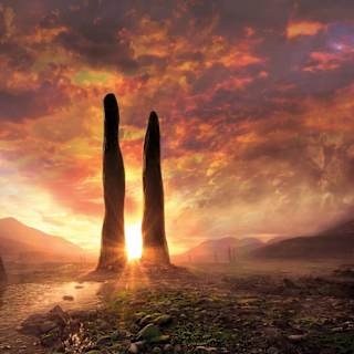 Fossils Suggest New Branch in Tree of Life