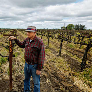 California Farmers Brace for Tariff Impact