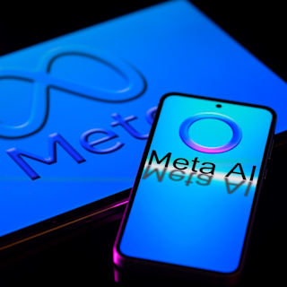 Law Professors Support Authors in Meta AI Copyright Case