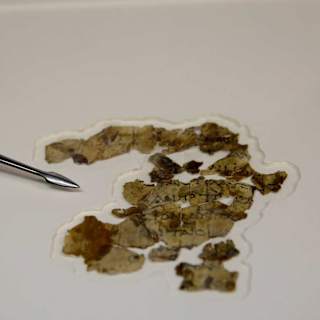 AI tool Enoch suggests Dead Sea Scrolls are older than once believed
