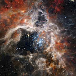 Organic molecules use fluorescence to survive radiation in space