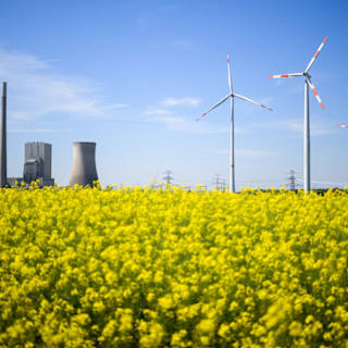 Ireland shuts down last coal plant six months early