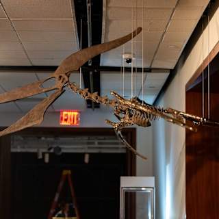 Oldest North American pterosaur fossil found in Arizona