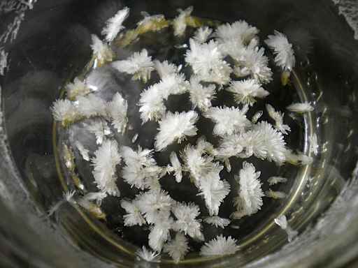 White crystals of DMT (N,N-Dimethyltryptamine) in a glass container.