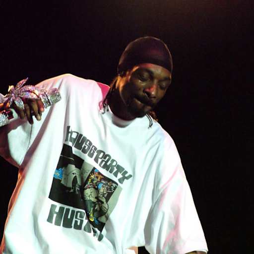 Snoop Dogg performing at City Stages.