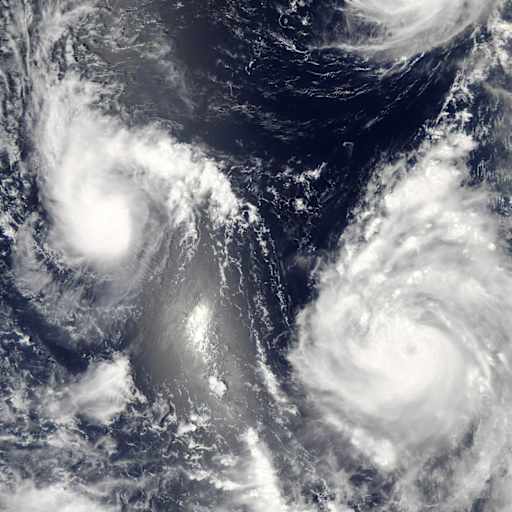 Three tropical cyclones from the 2006 Pacific typhoon season.