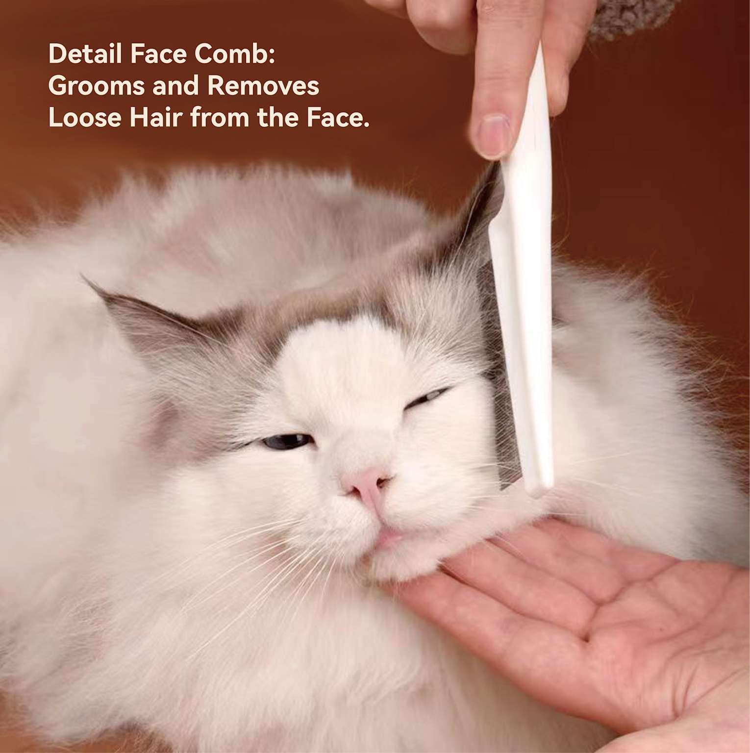 Gentle Grooming for Cats