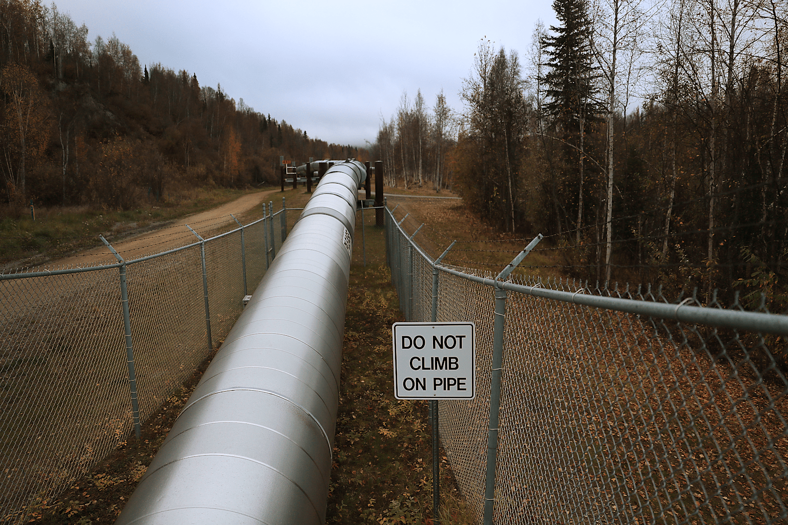 Trans Alaska Pipeline Serves As Main Artery For Alaska's North Slope Oil Fields