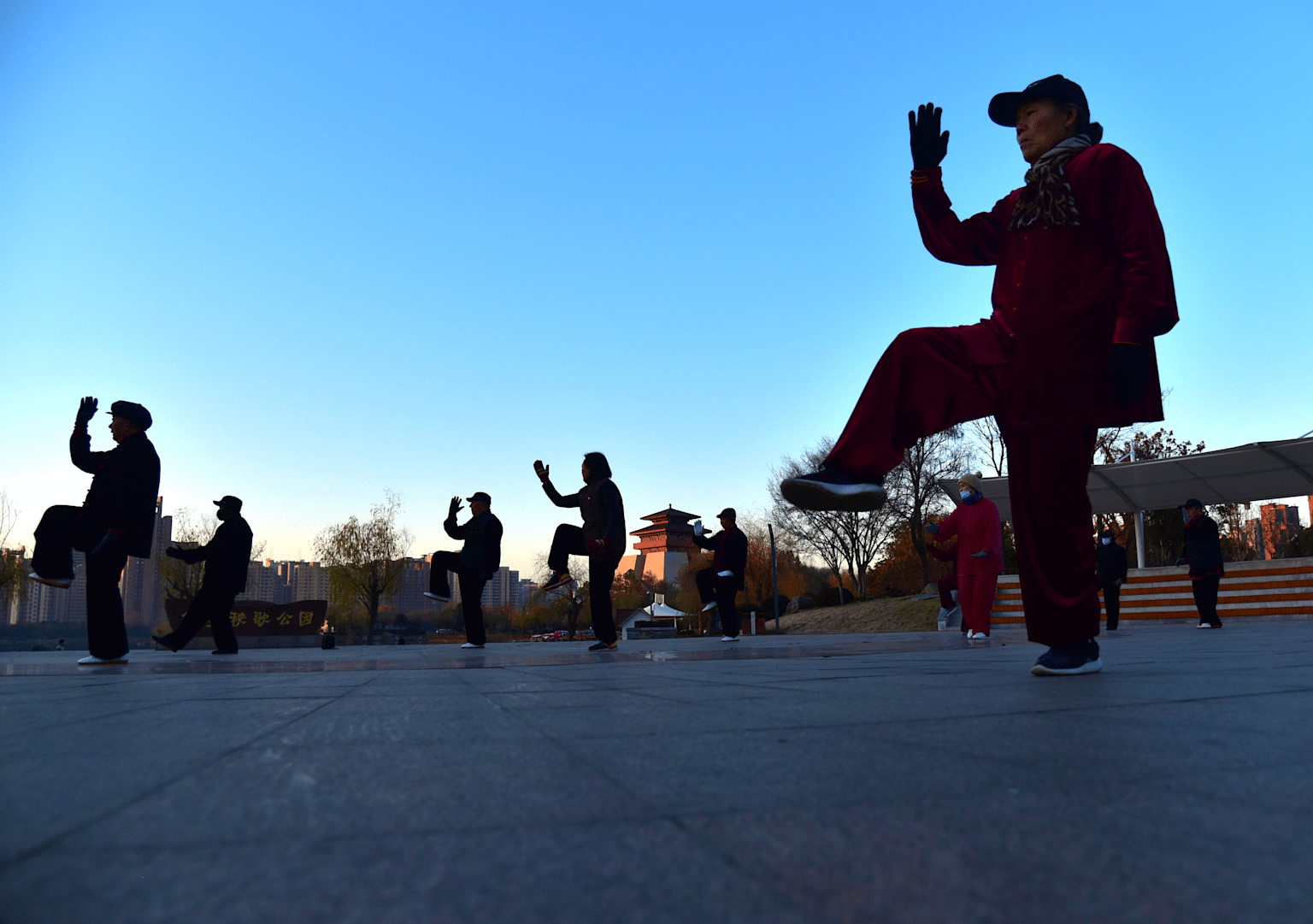 Fitness in Low Temperature