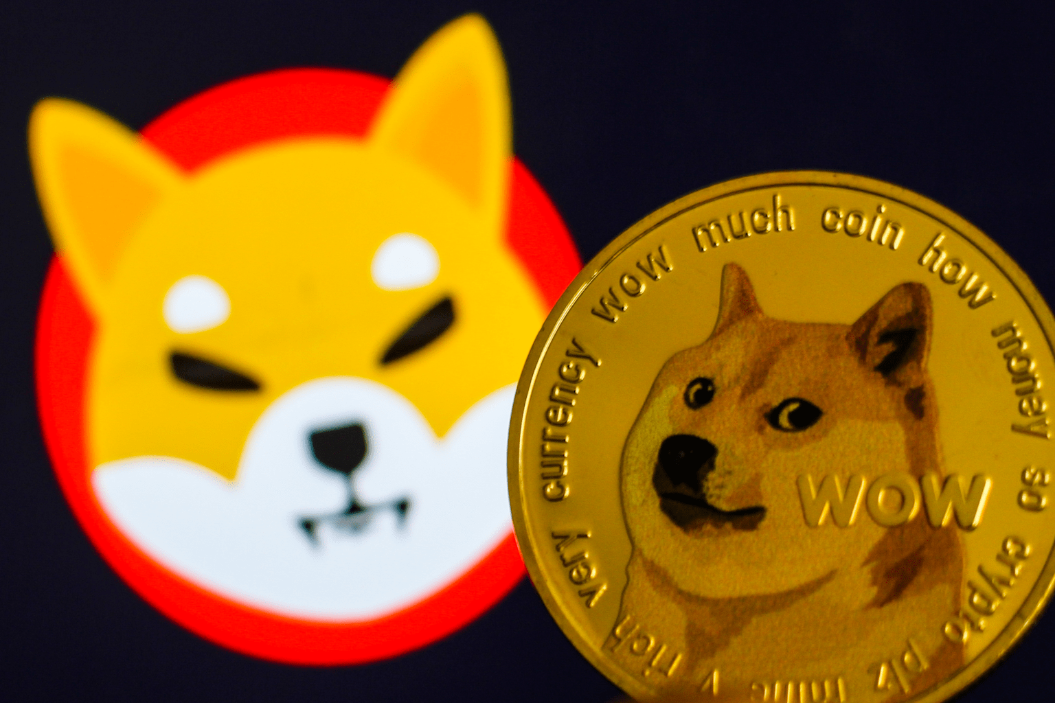 Shiba Inu Cryptocurrency Photo Illustrations
