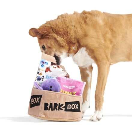 Fun Size BarkBox