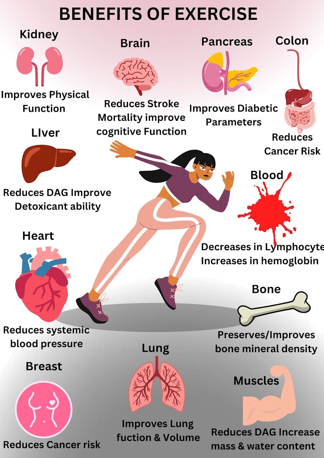 Benefits of exercise on different organs and systems in the human body.