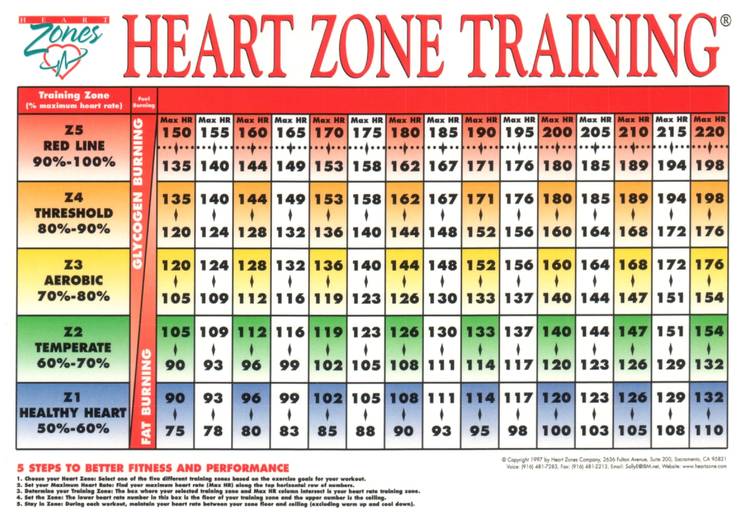 Heart rate training chart showing training zones, intensity, and fuel usage.