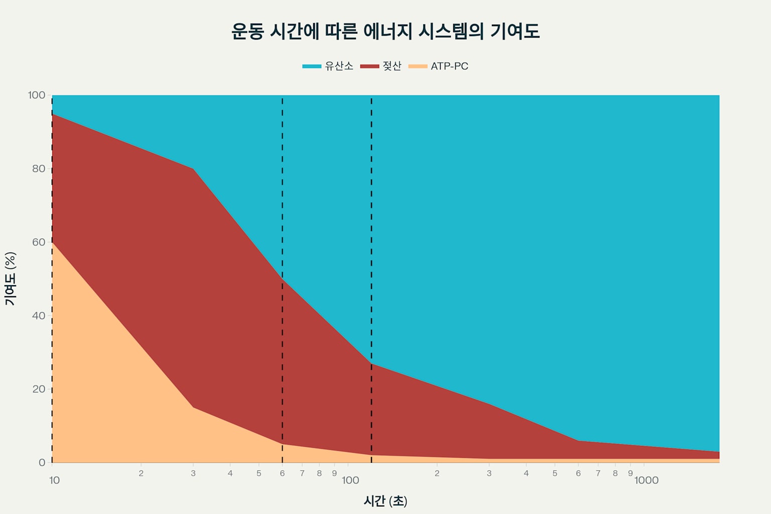 운동 지속 시간에 따른 세 가지 에너지 시스템(ATP-PC, 젖산, 유산소)의 상대적 기여도 변화