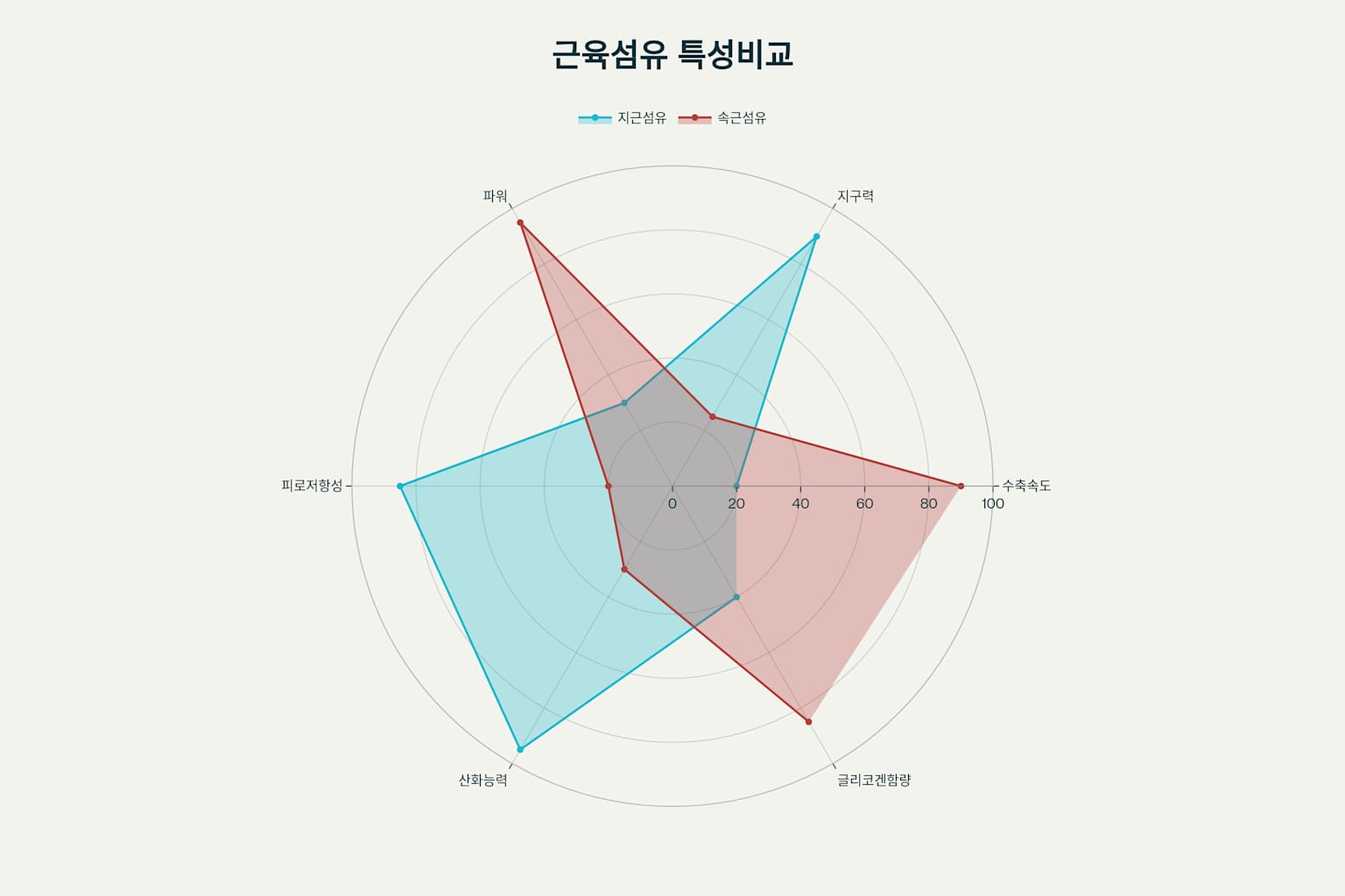 지근섬유와 속근섬유의 6가지 주요 특성을 비교한 레이더 차트