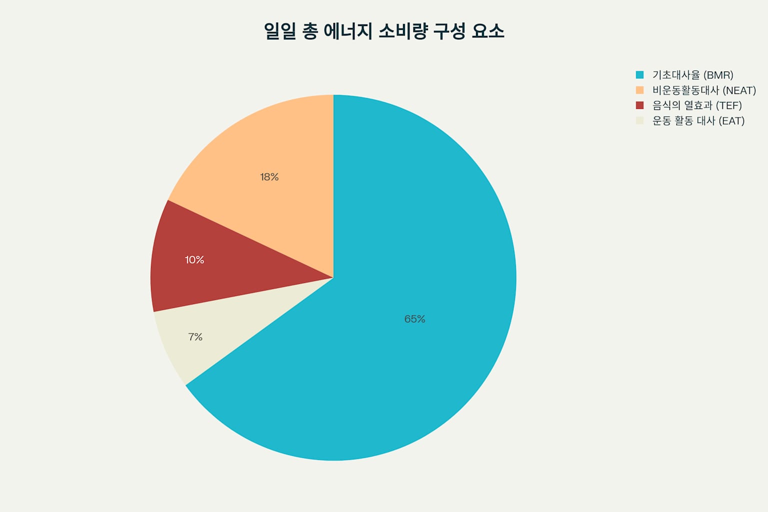 일일 총 에너지 소비량의 구성 요소별 비율